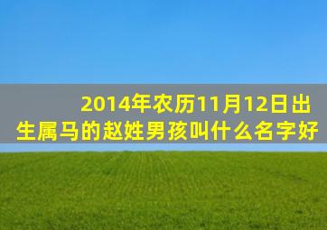 2014年农历11月12日出生属马的赵姓男孩叫什么名字好