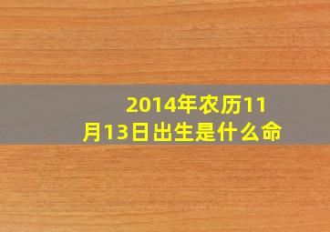 2014年农历11月13日出生是什么命