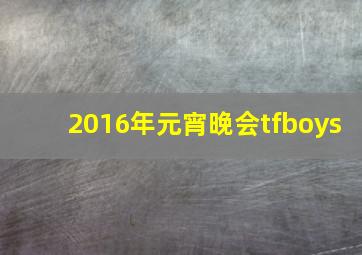 2016年元宵晚会tfboys