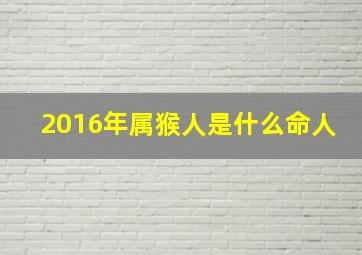 2016年属猴人是什么命人