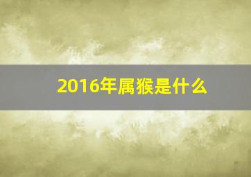 2016年属猴是什么