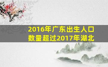 2016年广东出生人口数量超过2017年湖北