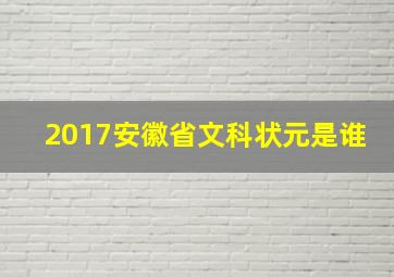 2017安徽省文科状元是谁