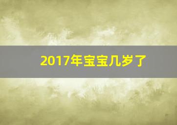 2017年宝宝几岁了