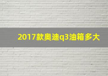 2017款奥迪q3油箱多大