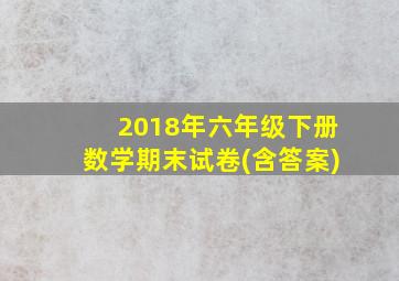 2018年六年级下册数学期末试卷(含答案)