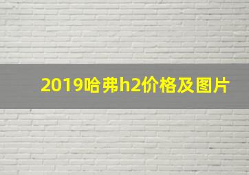 2019哈弗h2价格及图片