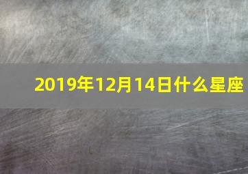 2019年12月14日什么星座