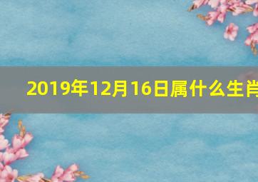 2019年12月16日属什么生肖