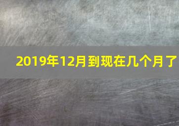 2019年12月到现在几个月了