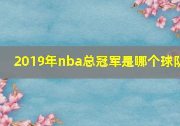 2019年nba总冠军是哪个球队