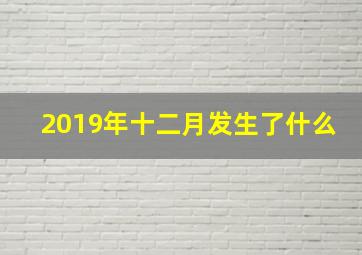 2019年十二月发生了什么