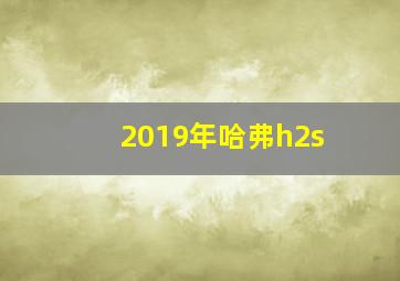 2019年哈弗h2s