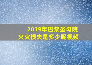 2019年巴黎圣母院火灾损失是多少呢视频