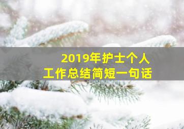 2019年护士个人工作总结简短一句话