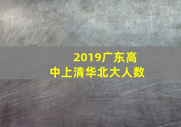 2019广东高中上清华北大人数