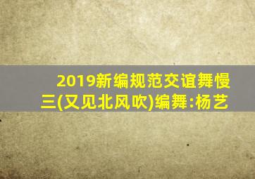 2019新编规范交谊舞慢三(又见北风吹)编舞:杨艺