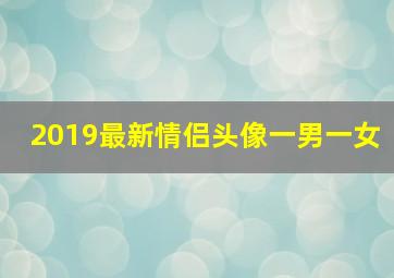 2019最新情侣头像一男一女