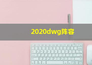 2020dwg阵容