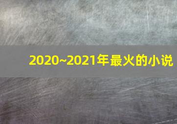 2020~2021年最火的小说