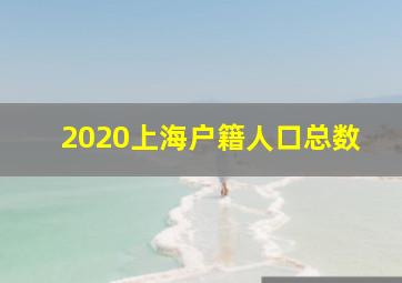 2020上海户籍人口总数