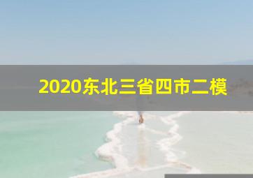 2020东北三省四市二模