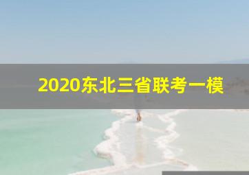 2020东北三省联考一模