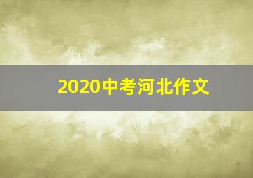 2020中考河北作文