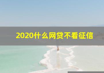 2020什么网贷不看征信