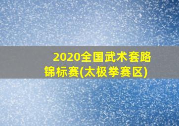 2020全国武术套路锦标赛(太极拳赛区)