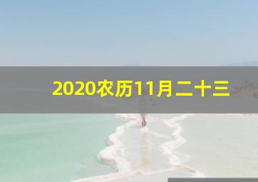 2020农历11月二十三