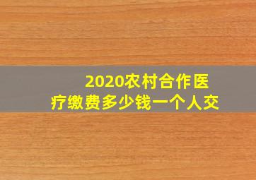 2020农村合作医疗缴费多少钱一个人交