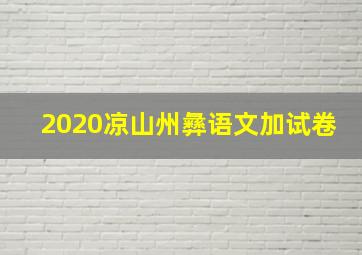 2020凉山州彝语文加试卷