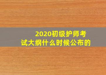 2020初级护师考试大纲什么时候公布的