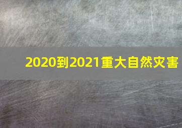 2020到2021重大自然灾害