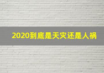 2020到底是天灾还是人祸