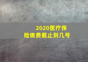 2020医疗保险缴费截止到几号