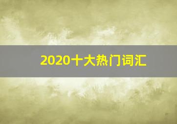 2020十大热门词汇