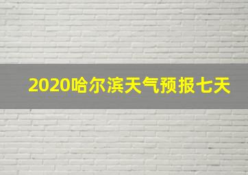 2020哈尔滨天气预报七天