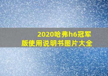 2020哈弗h6冠军版使用说明书图片大全