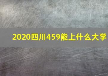 2020四川459能上什么大学