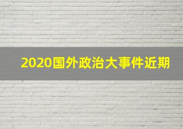 2020国外政治大事件近期