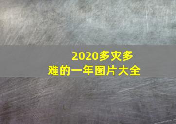 2020多灾多难的一年图片大全