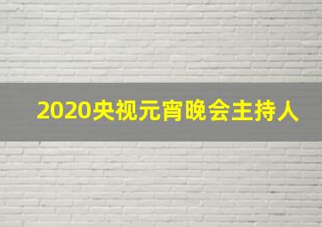 2020央视元宵晚会主持人