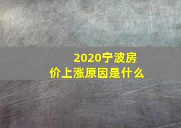 2020宁波房价上涨原因是什么