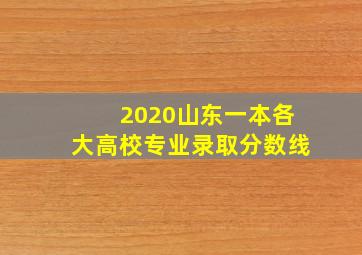 2020山东一本各大高校专业录取分数线