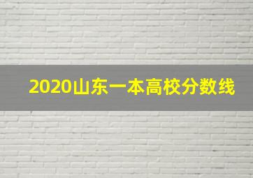 2020山东一本高校分数线