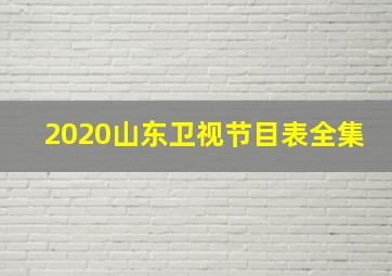 2020山东卫视节目表全集