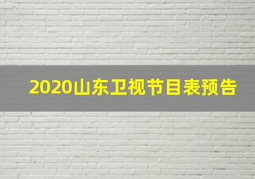 2020山东卫视节目表预告