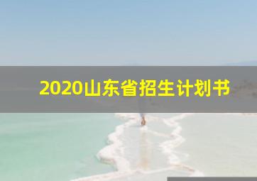 2020山东省招生计划书